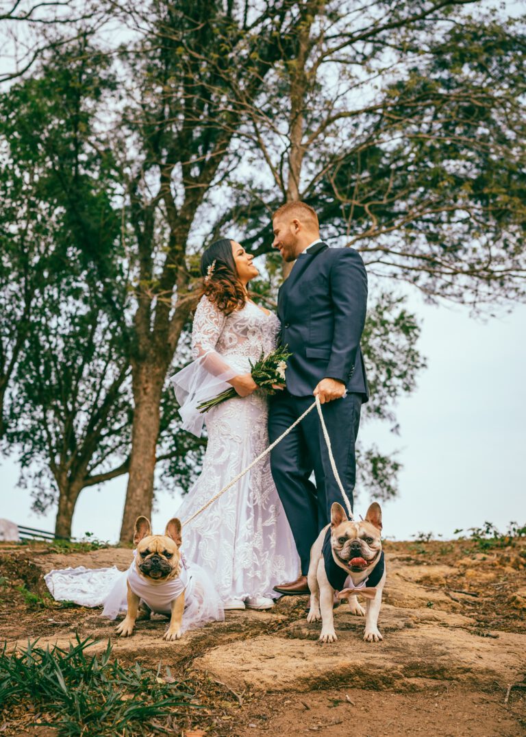 Hunde auf der Hochzeit